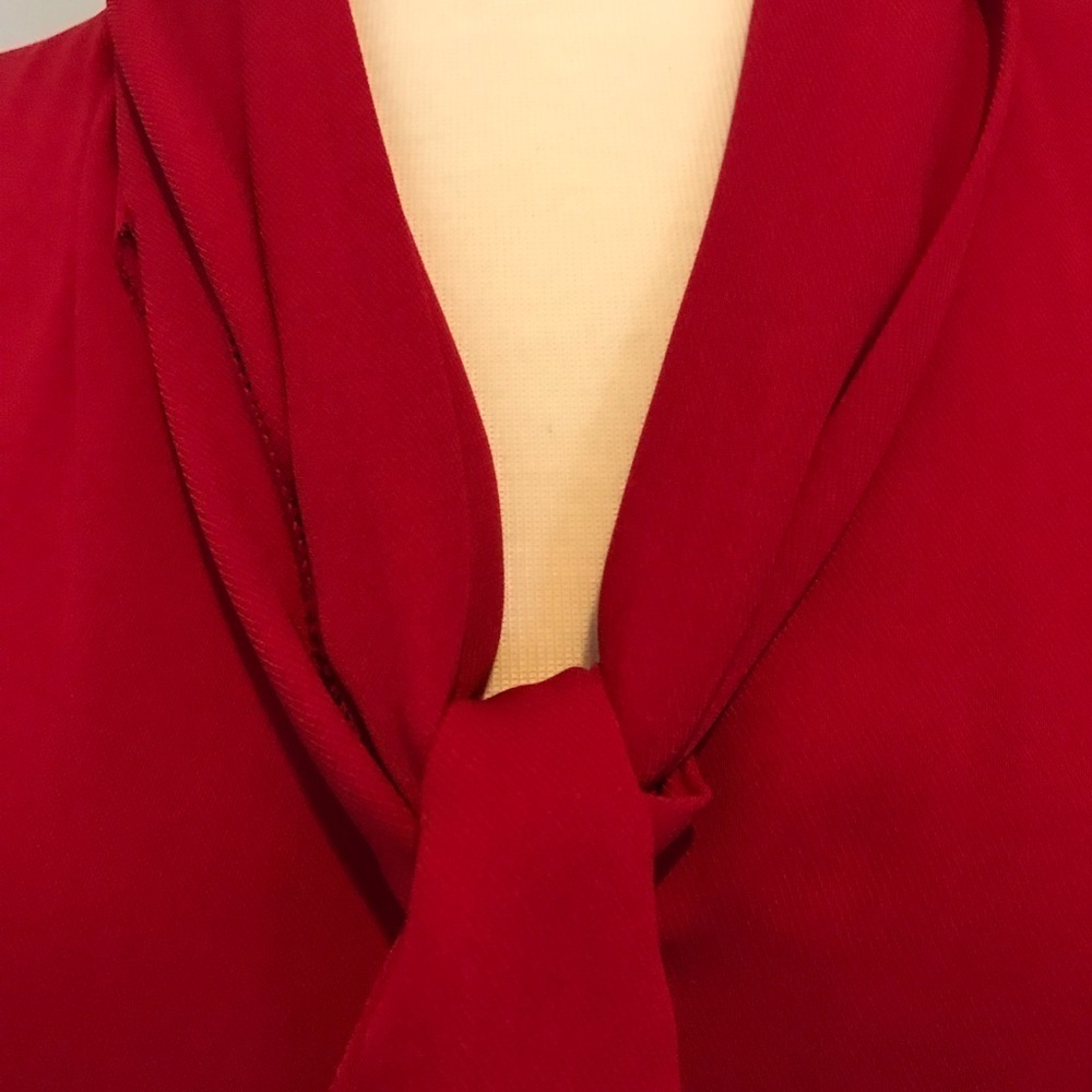 Red Blouse - Picture 3 of 6
